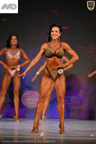 Кубок Ивановской области по бодибилдингу - 2026