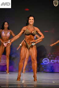 Кубок Ивановской области по бодибилдингу - 2026