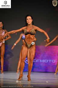 Кубок Ивановской области по бодибилдингу - 2026