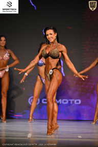 Кубок Ивановской области по бодибилдингу - 2026