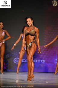 Кубок Ивановской области по бодибилдингу - 2026