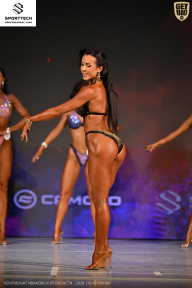 Кубок Ивановской области по бодибилдингу - 2026