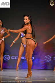 Кубок Ивановской области по бодибилдингу - 2026