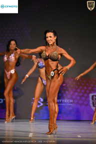 Кубок Ивановской области по бодибилдингу - 2026