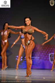 Кубок Ивановской области по бодибилдингу - 2026