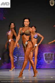 Кубок Ивановской области по бодибилдингу - 2026