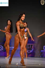 Кубок Ивановской области по бодибилдингу - 2026