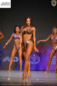 Кубок Ивановской области по бодибилдингу - 2026