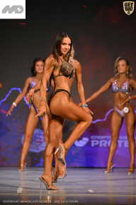 Кубок Ивановской области по бодибилдингу - 2026