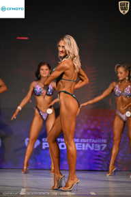 Кубок Ивановской области по бодибилдингу - 2026