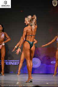 Кубок Ивановской области по бодибилдингу - 2026