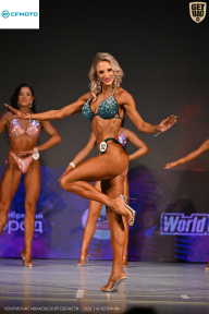 Кубок Ивановской области по бодибилдингу - 2026