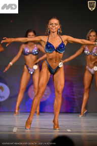 Кубок Ивановской области по бодибилдингу - 2026