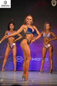 Кубок Ивановской области по бодибилдингу - 2026