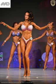 Кубок Ивановской области по бодибилдингу - 2026