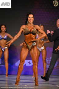 Кубок Ивановской области по бодибилдингу - 2026