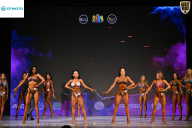 Кубок Ивановской области по бодибилдингу - 2026