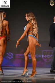 Кубок Ивановской области по бодибилдингу - 2026