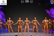 Кубок Ивановской области по бодибилдингу - 2026