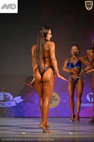 Кубок Ивановской области по бодибилдингу - 2026