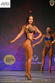 Кубок Ивановской области по бодибилдингу - 2026