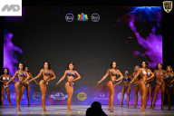 Кубок Ивановской области по бодибилдингу - 2026