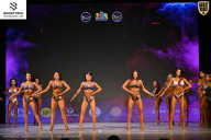 Кубок Ивановской области по бодибилдингу - 2026