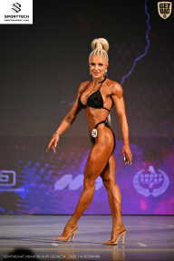 Кубок Ивановской области по бодибилдингу - 2026