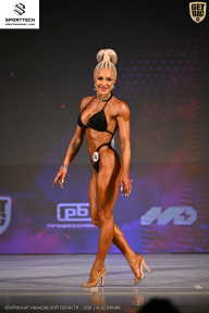 Кубок Ивановской области по бодибилдингу - 2026