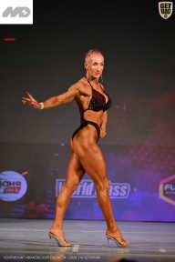 Кубок Ивановской области по бодибилдингу - 2026