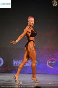 Кубок Ивановской области по бодибилдингу - 2026