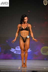 Кубок Ивановской области по бодибилдингу - 2026