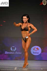 Кубок Ивановской области по бодибилдингу - 2026