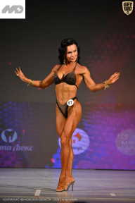 Кубок Ивановской области по бодибилдингу - 2026