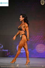 Кубок Ивановской области по бодибилдингу - 2026