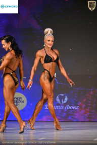 Кубок Ивановской области по бодибилдингу - 2026