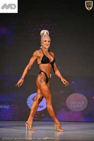 Кубок Ивановской области по бодибилдингу - 2026