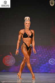 Кубок Ивановской области по бодибилдингу - 2026