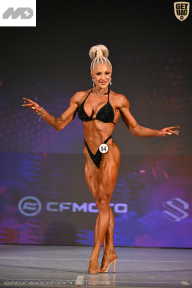 Кубок Ивановской области по бодибилдингу - 2026