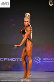 Кубок Ивановской области по бодибилдингу - 2026