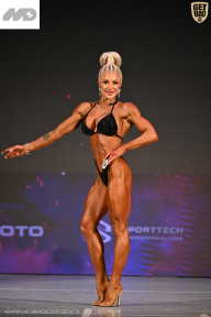 Кубок Ивановской области по бодибилдингу - 2026