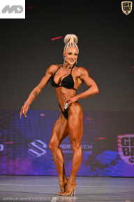 Кубок Ивановской области по бодибилдингу - 2026