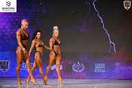 Кубок Ивановской области по бодибилдингу - 2026