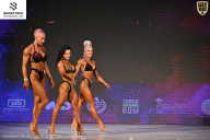 Кубок Ивановской области по бодибилдингу - 2026