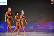 Кубок Ивановской области по бодибилдингу - 2026