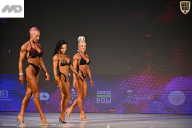 Кубок Ивановской области по бодибилдингу - 2026