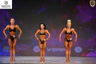 Кубок Ивановской области по бодибилдингу - 2026