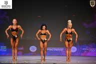 Кубок Ивановской области по бодибилдингу - 2026