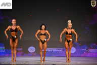 Кубок Ивановской области по бодибилдингу - 2026