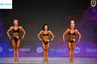 Кубок Ивановской области по бодибилдингу - 2026